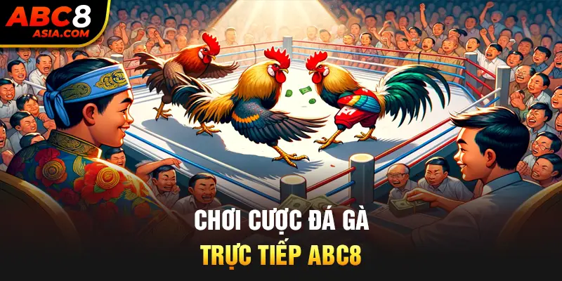 Chơi cược đá gà trực tiếp ABC8