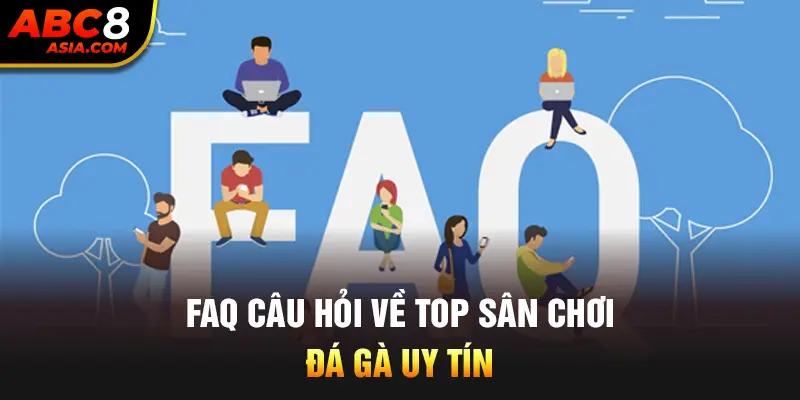 FAQ câu hỏi về top sân chơi đá gà uy tín