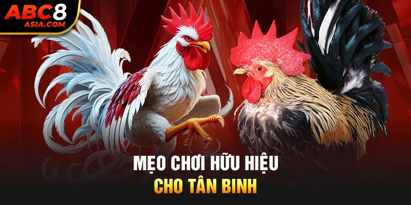 Mẹo chơi hữu hiệu cho tân binh