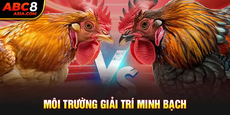 Môi trường giải trí minh bạch