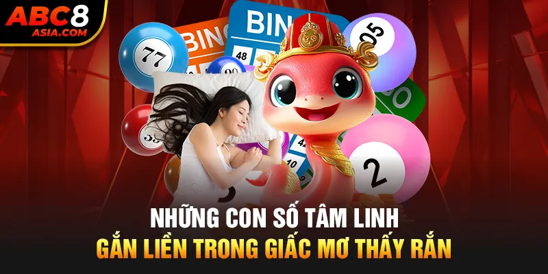 Những con số tâm linh gắn liền trong giấc mơ thấy rắn