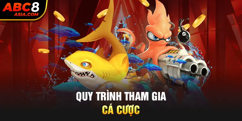 Quy trình tham gia cá cược