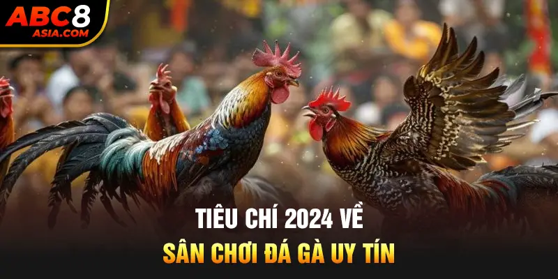 Tiêu chí 2024 về sân chơi đá gà uy tín